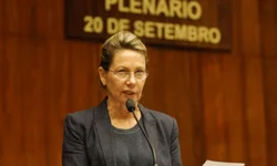 Polícia Civil recupera espada furtada do Museu Raul Pont