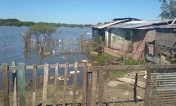 Projeto já distribuiu mais de 100 casas volantes