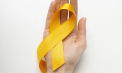 Aeroporto deve registrar crescimento de 25% na movimentação de passageiros