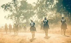 Prorrogado teste de desempenho Hereford e Braford no CP CRV Lagoa