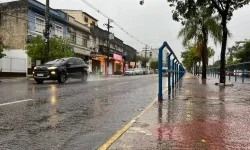 Morador encontra granada no quintal de casa
