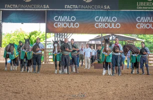 Criadores têm até dia 23 para se inscrever na Expo FICCC 2026