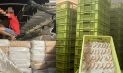 Polícia Civil prende mulher acusada de roubo majorado