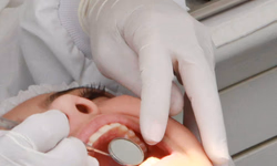 1º Pet Day movimentou o domingo em Uruguaiana