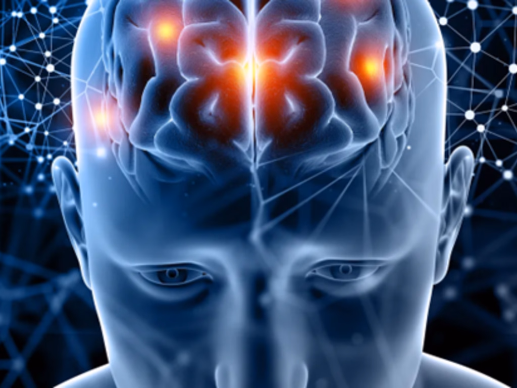 Disfunção de proteína no cérebro provoca declínio cognitivo