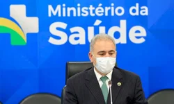 Profissionais esclarecem dúvidas sobre castração de animais