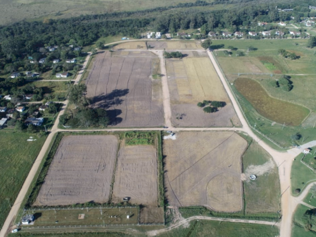 Produção de alimentos no pós-pandemia será tema da Abertura da Colheita do Arroz