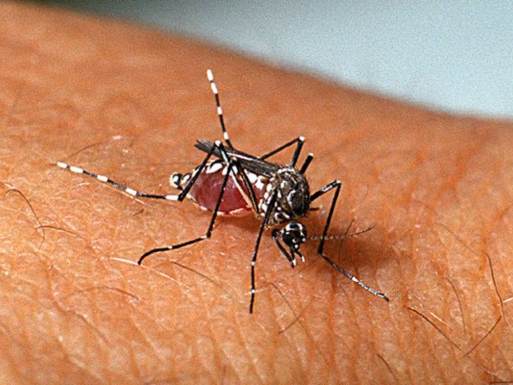 Uruguaiana confirma um novo caso de dengue