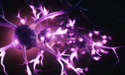 Sintomas de Alzheimer precoce podem surgir a partir dos 30