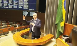 Vereadora propõe criação de Patrulha de Proteção Animal