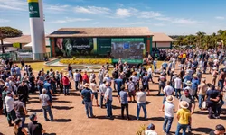 Começa hoje a estação mais charmosa do ano