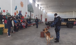 Escolas estaduais terão autonomia para decidir sobre funcionamento na segunda