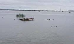 Curso capacita voluntários contra incêndio nos abrigos