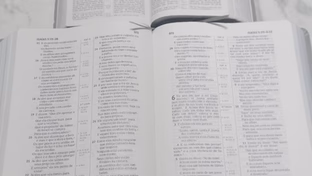 Justiça suspende leitura da Bíblia nas sessões da Câmara