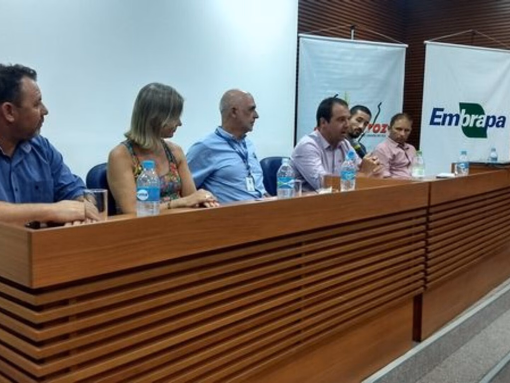 Produtores esperam abertura de novos mercados para o arroz em casca