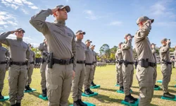 Criado núcleo multidisciplinar de combate pedofilia e abuso infantojuvenil
