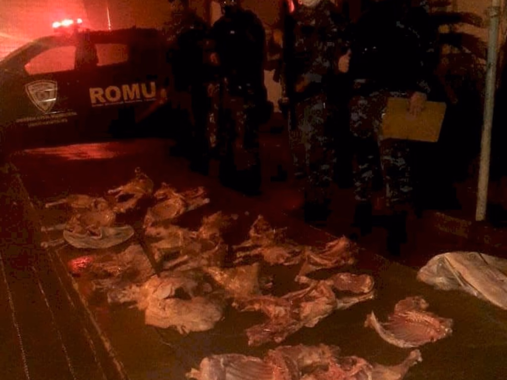 Três homens foram presos por porte de ovelhas abatidas