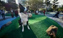 Onyx Lorenzoni se filia ao PL