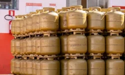 Uruguaianenses são homenageados pela Federação Internacional de Educação Física