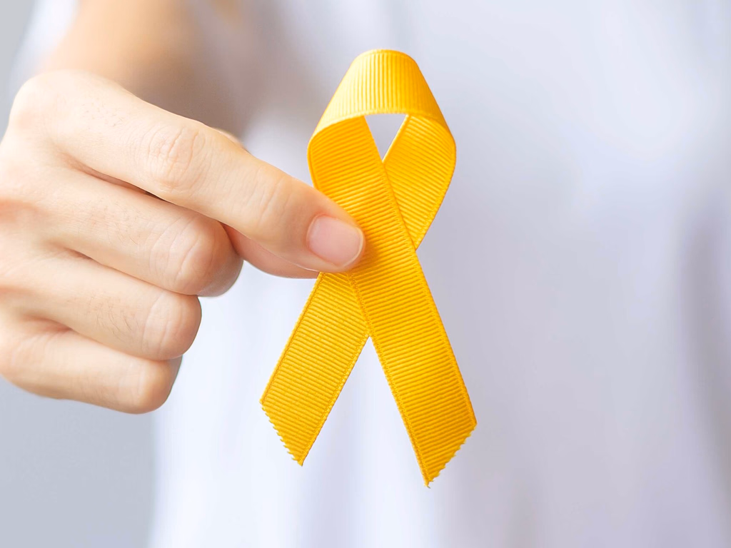 Câmara debate Maio Amarelo nesta quarta-feira