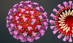 Pl obriga agressores de animais a pagar por tratamento veterinário