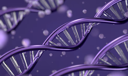 ABHB teve número expressivo de registros genealógicos em 2022