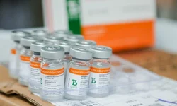 OMS utilizará letras gregas para nomear as variantes do coronavírus