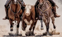 Expodireto Cotrijal é lançada em clima de otimismo