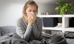 Encontro de carrinhos de rolimã acontece no domingo