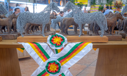 Quartas de final e jogos beneficentes agitam o Ferro Carril no fim de semana