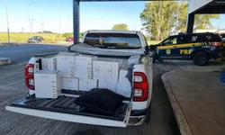 Audiências da Operação Fire movimentaram o Fórum nesta semana