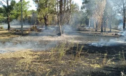 Bombeiros combateram 70 incêndios em janeiro