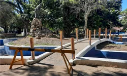 Granjeiros têm bens confiscados para pagar indenização