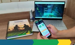 Safra de arroz bate recorde em produtividade