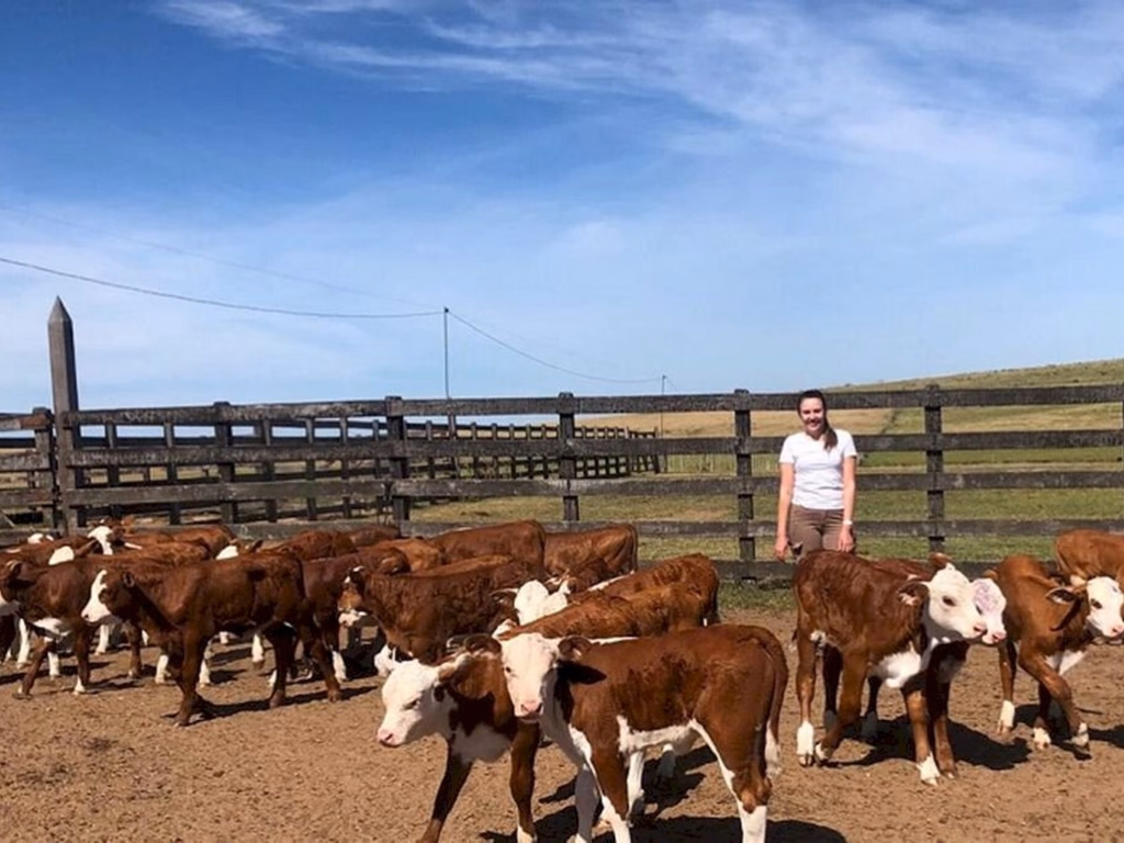 Registro Genealógico encerra o ciclo de auditorias técnicas de 2020