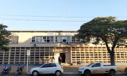 Calor pode favorecer a entrada de gafanhotos no RS