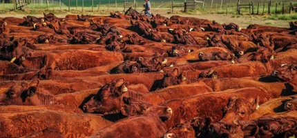 ANC supera 100 mil registros em 2025 e avança 65% em um ano