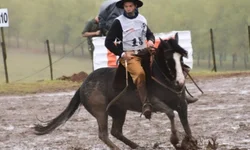 Pentacampeonato Gaúcho renova esperanças após rebaixamento