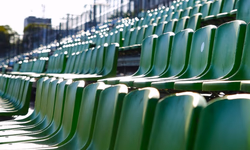 Deu Chucha na Zebra exalta a resiliência e promete desfile arrebatador