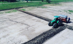 Brasil bate recorde histórico de exportação de soja