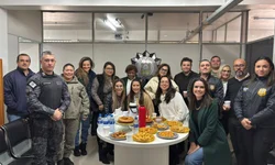 Fiscalização retira mais de 20 cavalos soltos nas vias da cidade