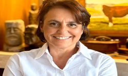 Vereadora cobra informações sobre destinação de emendas parlamentares