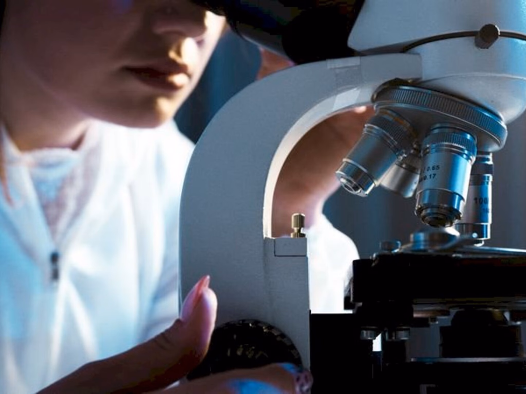 Capes em Foco presta contas à sociedade sobre a pós-graduação brasileira