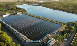 Município chega a 30 casos de dengue