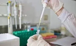 Unipampa realiza live tira-dúvidas sobre Colações de Grau Virtuais 2020/2