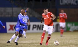 Os lançamentos da Netflix em agosto de 2020