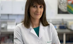 Projeto de neurociências é contemplado com edital da Fapergs