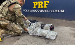 PRF prende homem por tráfico de drogas na BR-290