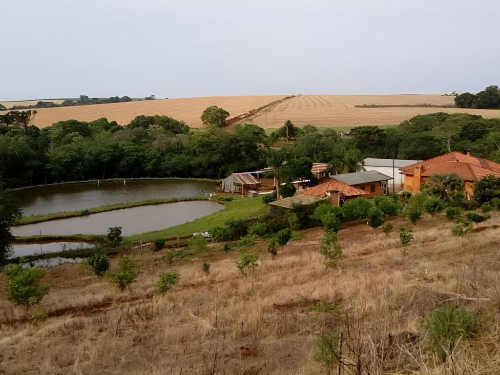 Produtor deve ter atenção sobre incidência tributária na sucessão de Holdings