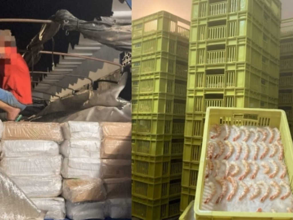 Homem preso com 12 toneladas de camarões é condenado